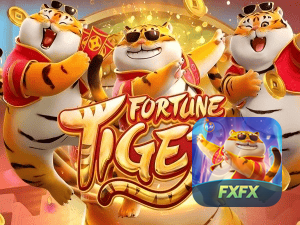 Guia install APK FXFX BET BR